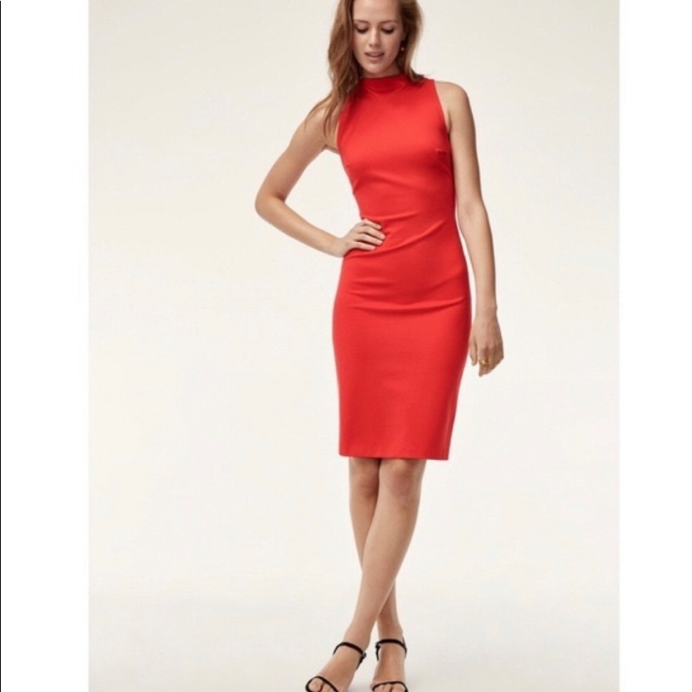 Aritzia Babaton Matheson Dress